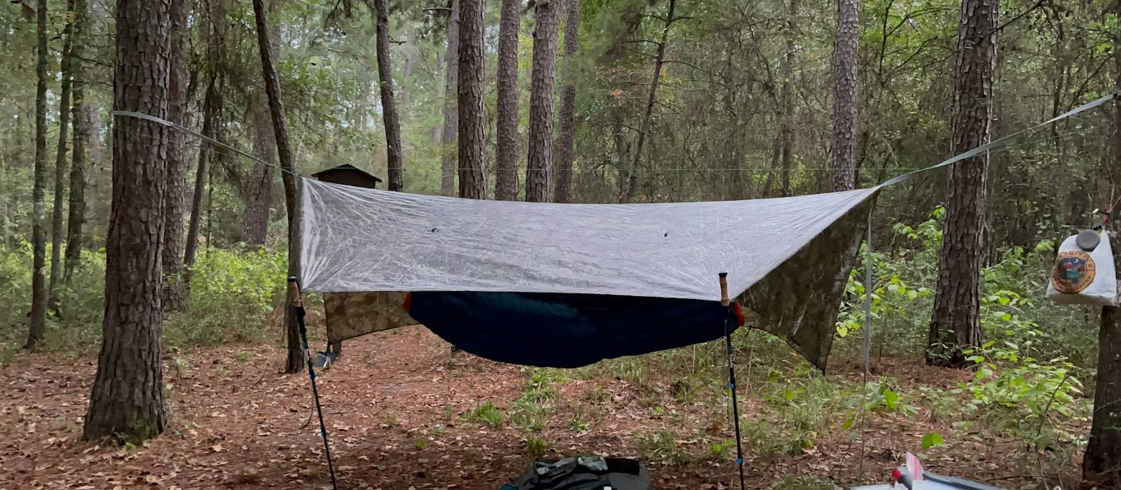 Camping hammock under a tarp between pine trees